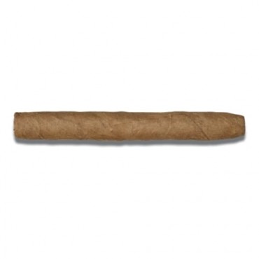 DE OLIFANT Classic V.O.C. (Club) 20 Zigarren